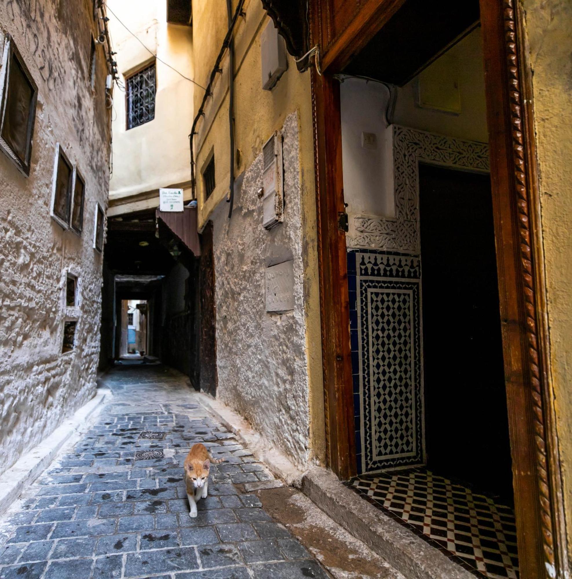 Riad Dar Omar Фес Екстер'єр фото