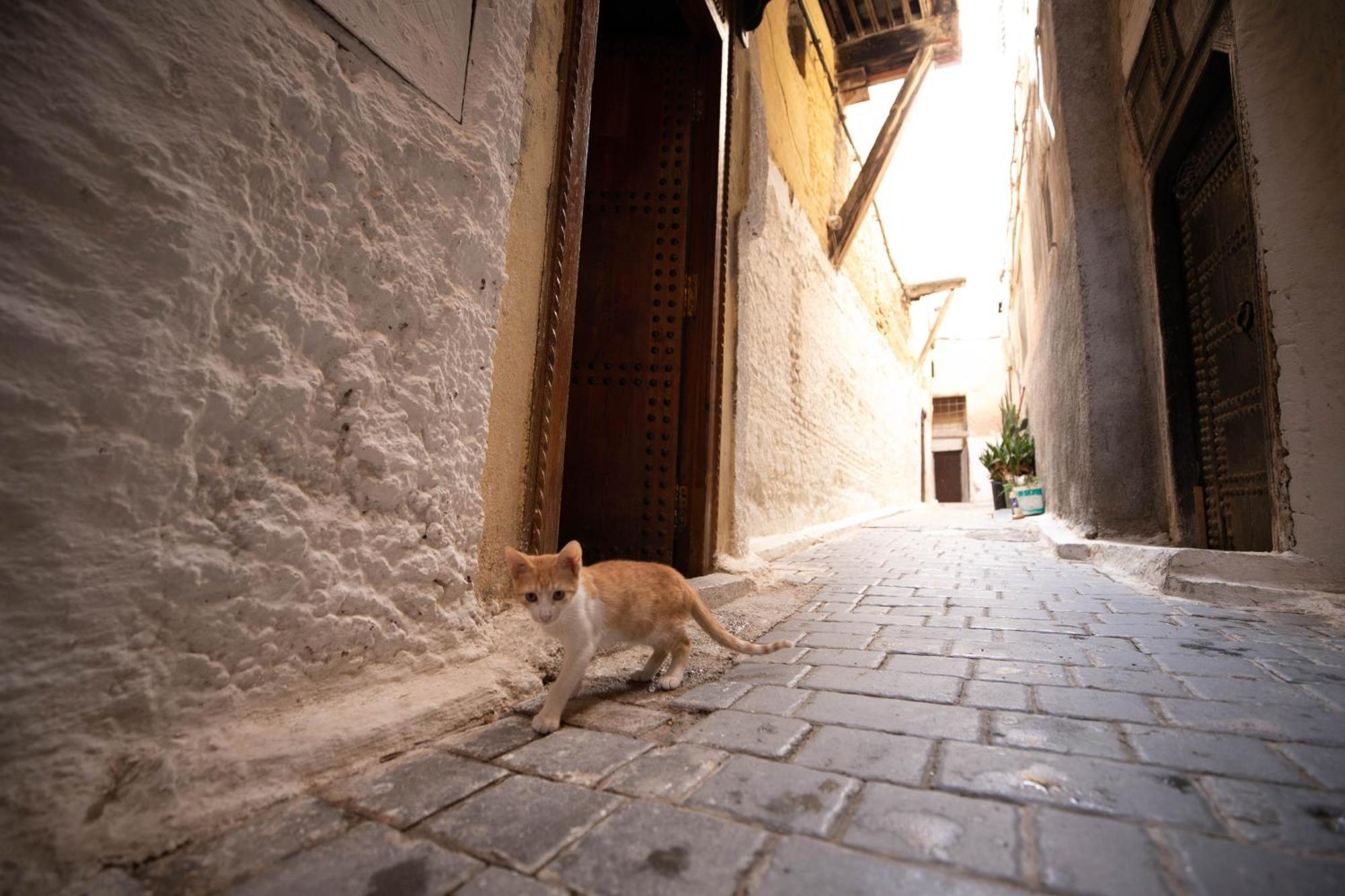 Riad Dar Omar Фес Екстер'єр фото
